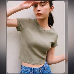 Uniqlo Ribbed Cew Neck Cropped T-shirt in Sage
